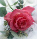 sites/ricettario-bimby.it/files/32285_127504757274149_114613101896648_234477_1976313_s.jpg