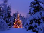 sites/ricettario-bimby.it/files/albero-di-natale1.jpg