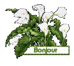 sites/default/files/bonjour_fiori.gif