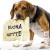 sites/ricettario-bimby.it/files/cane_buonanotte.jpg