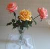 rose1.JPG sites/ricettario-bimby.it/files/rose1.JPG