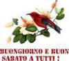 sites/ricettario-bimby.it/files/sabato.jpg