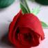 Profile picture for user Rosalba48