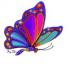 Profile picture for user ambra riminucci