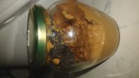 Crema di nocciole