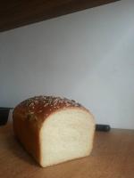 pan bauletto