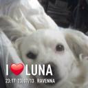 Profile picture for user Pupella