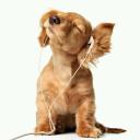 Profile picture for user caterina 45