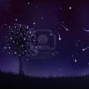 Profile picture for user baccu