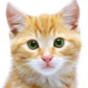 Profile picture for user Pixel71