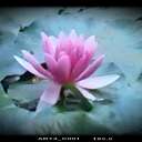 Profile picture for user Heidi71