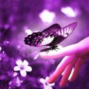 Profile picture for user ivana60