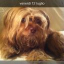 Profile picture for user Cintia