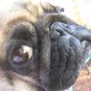 Profile picture for user agata2009