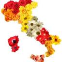 Profile picture for user Annina2009