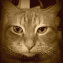 Profile picture for user may76