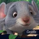 Profile picture for user cinziabonfiglioli