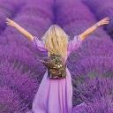 Profile picture for user Antonella Morrone