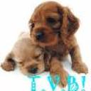 Profile picture for user LUCY72