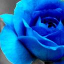 Profile picture for user francymall61
