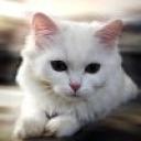 Profile picture for user mgr68
