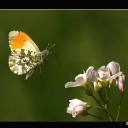 Profile picture for user Patrizia Vitale