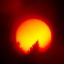 Profile picture for user giamburrascadoc