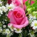Profile picture for user paus.alessandra