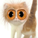 Profile picture for user Makica
