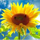 Profile picture for user mariassunta59
