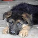 Profile picture for user linda59