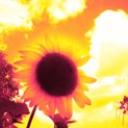Profile picture for user girasole_70