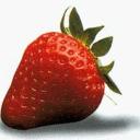 Profile picture for user rosci57