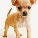 Profile picture for user jennyferm
