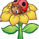 Profile picture for user laura14