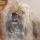 Profile picture for user sissi ninni