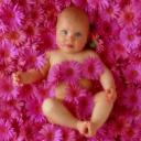 Profile picture for user Eleonora114