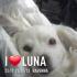 Profile picture for user Pupella