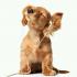 Profile picture for user caterina 45