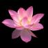 Profile picture for user Annina76