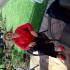Profile picture for user Mariarosa Crosta