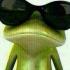 Profile picture for user lauradg1980