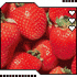 Profile picture for user fiordifragola