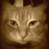 Profile picture for user may76