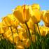 Profile picture for user maria grazia82