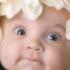 Profile picture for user Elisabetta64