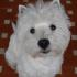 Profile picture for user SandraScotty