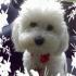 Profile picture for user DolceMilly