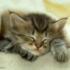 Profile picture for user Crissy '78