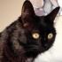 Profile picture for user claudette1970